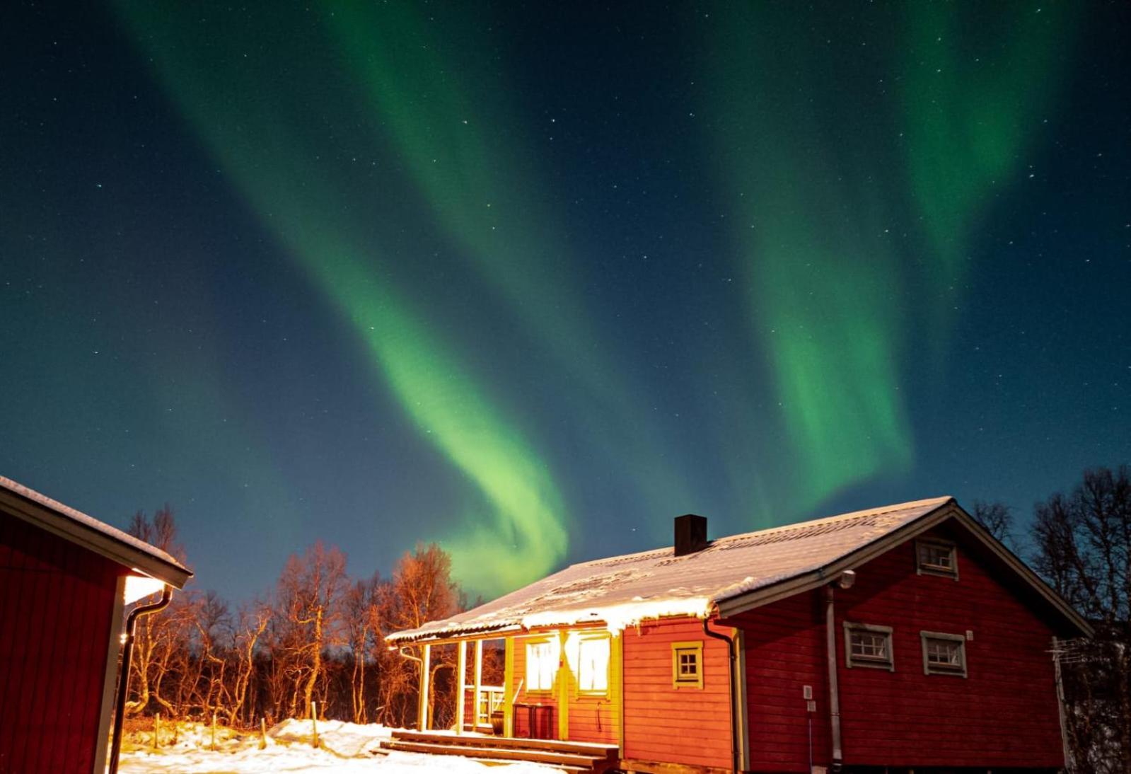Trivelig Hytte I Senja. Exteriör bild