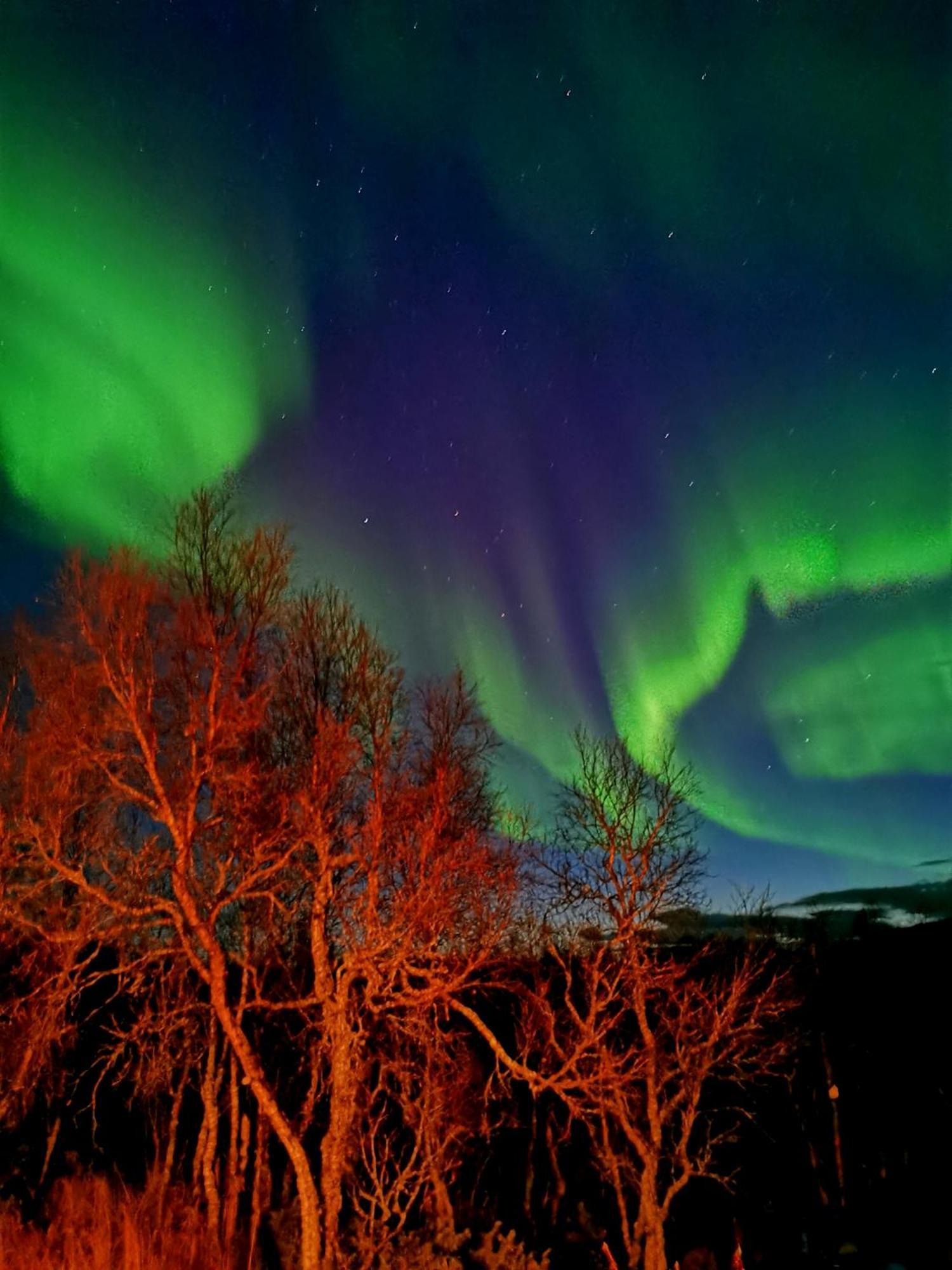 Trivelig Hytte I Senja. Exteriör bild