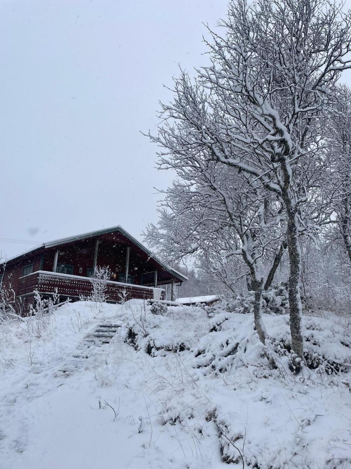 Trivelig Hytte I Senja. Exteriör bild